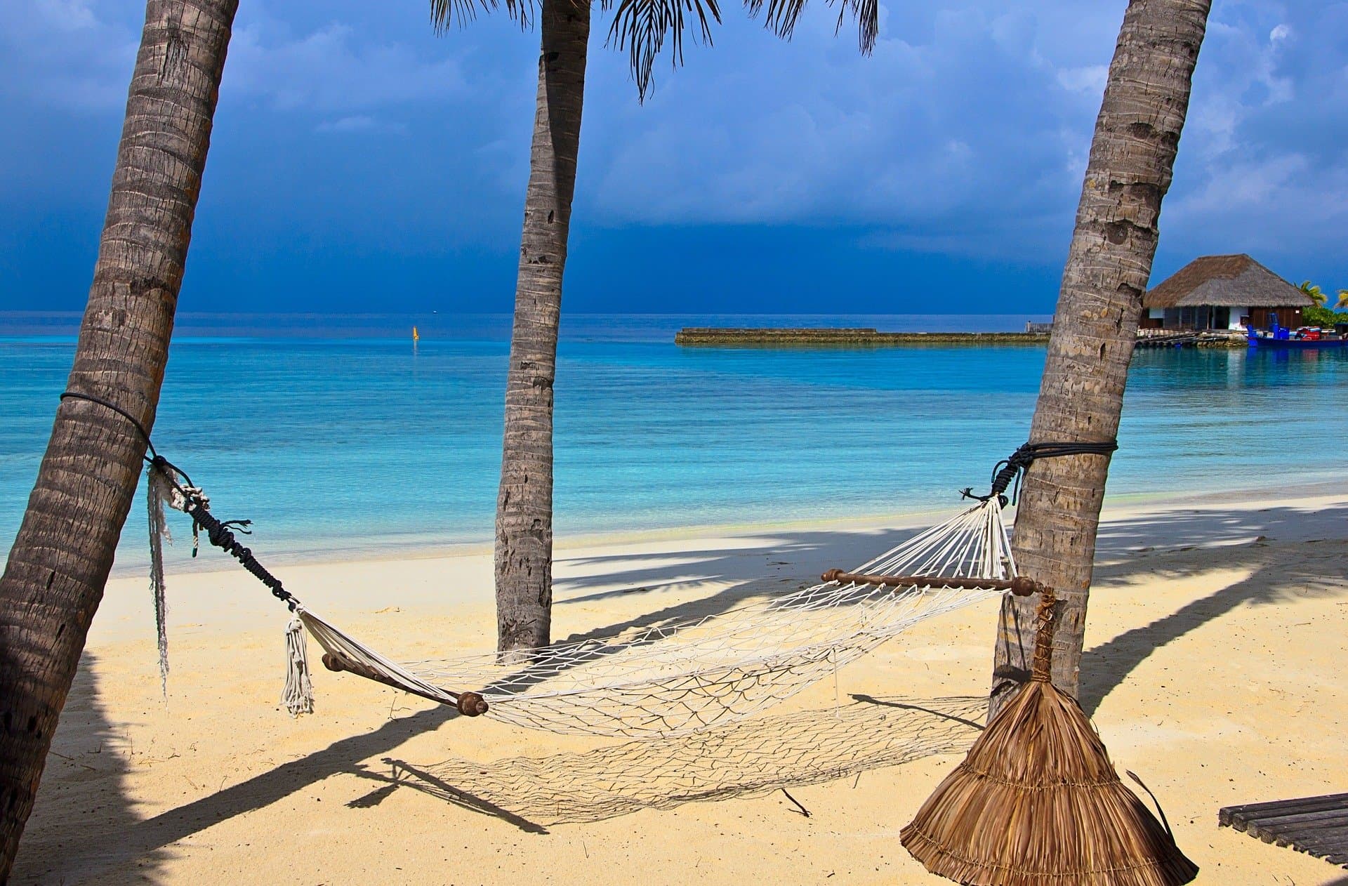 Dreaming About Financial Freedom? 5